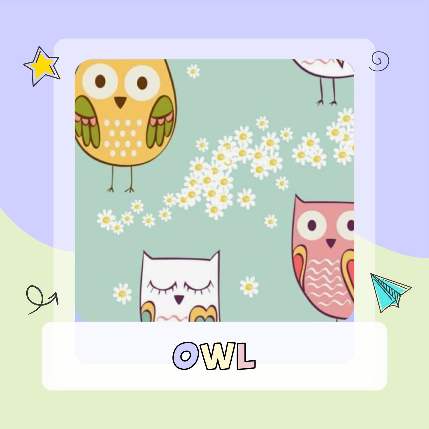 Owl